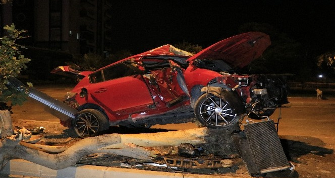 Adana'da otomobil refüjdeki ağaca çarptı: 2 yaralı